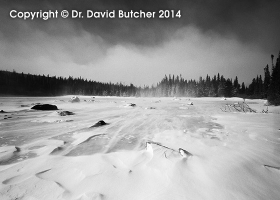 Blizzard at Red Rock Lake
