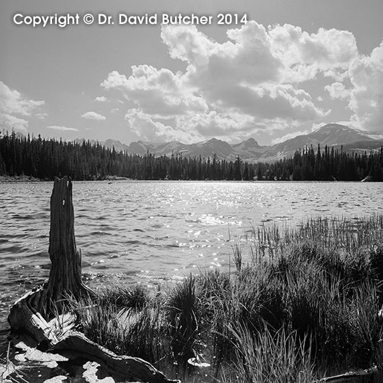 Red Rock Lake in Summer