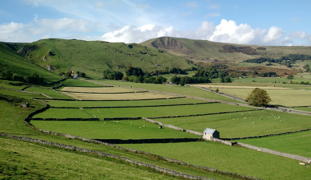 Castleton Fields