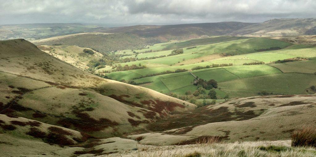 View North from South Head